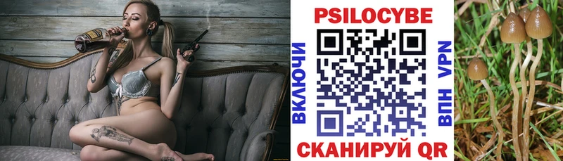 Псилоцибиновые грибы Cubensis  Купить закладки  Баксан 